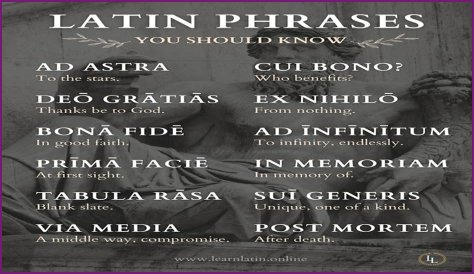 A Profile Of A Latin Beauty